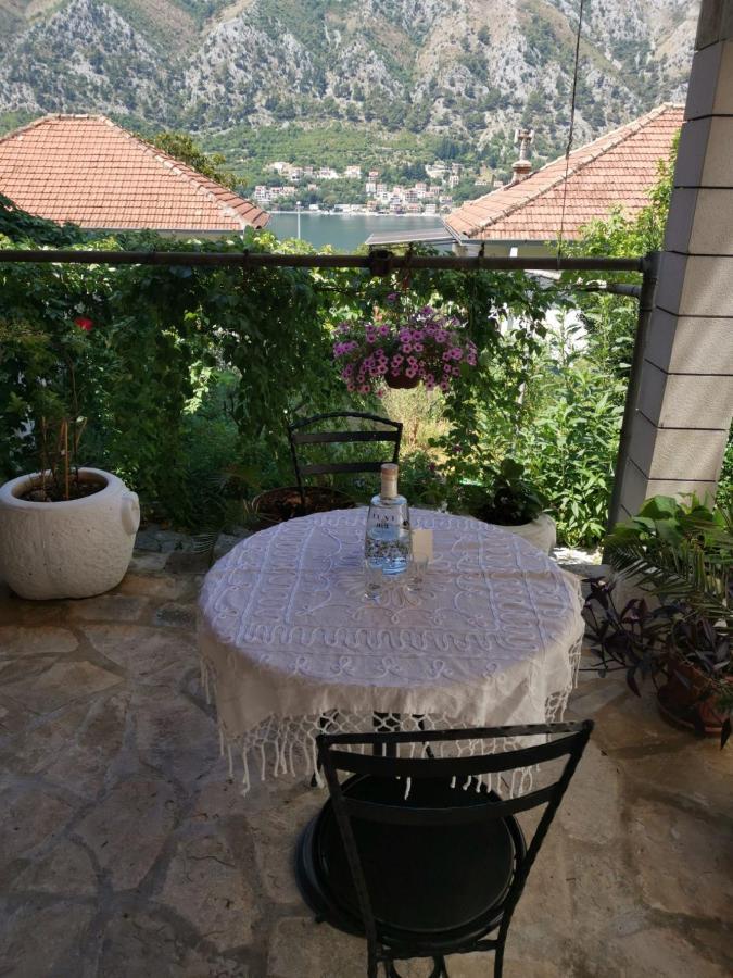 Apartments Coso Zlatne Njive Bb Kotor Extérieur photo