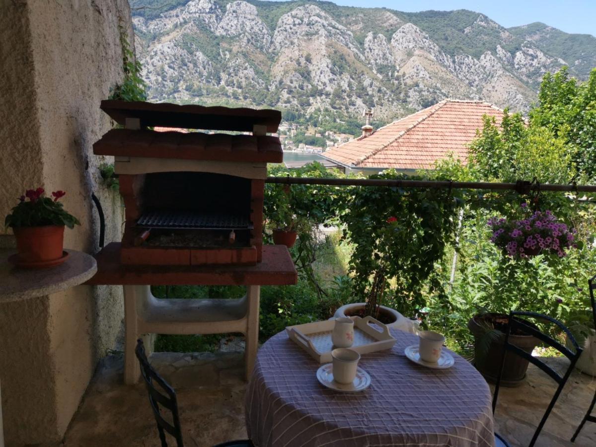 Apartments Coso Zlatne Njive Bb Kotor Extérieur photo